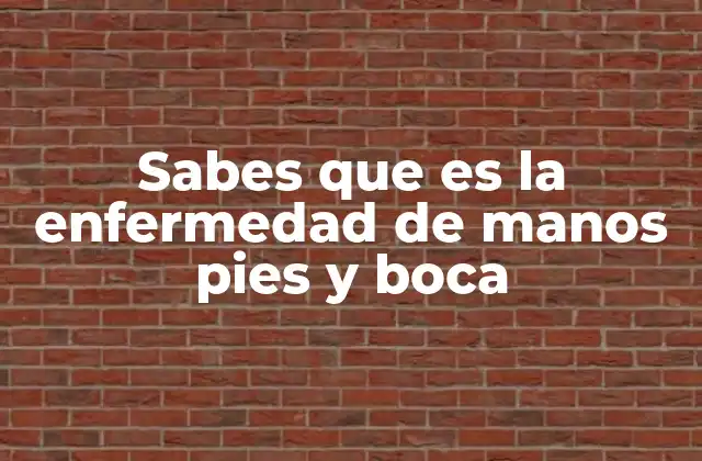 Sabes que es la Enfermedad de Manos Pies y Boca