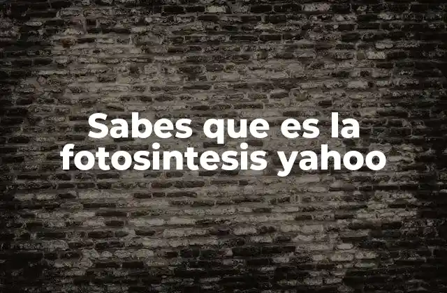 Sabes que es la Fotosintesis Yahoo