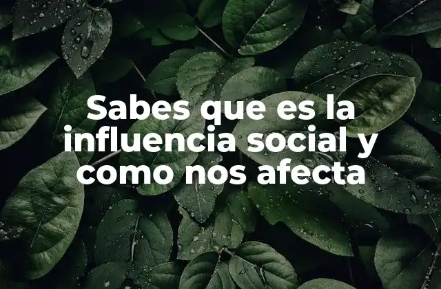 Sabes que es la Influencia Social y como Nos Afecta 2 Cómo el entorno social moldea nuestras decisiones
