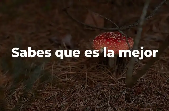 Sabes que es la Mejor