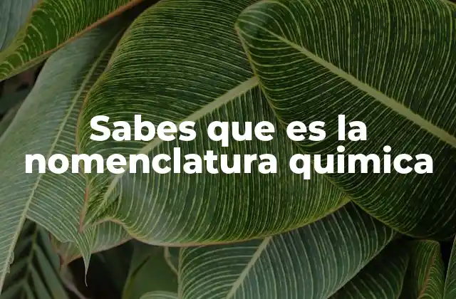 Sabes que es la Nomenclatura Quimica