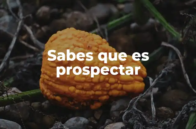 Sabes que es Prospectar