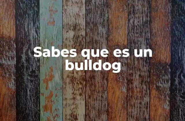 Sabes que es un Bulldog