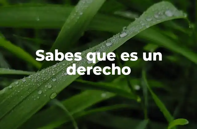 Sabes que es un Derecho