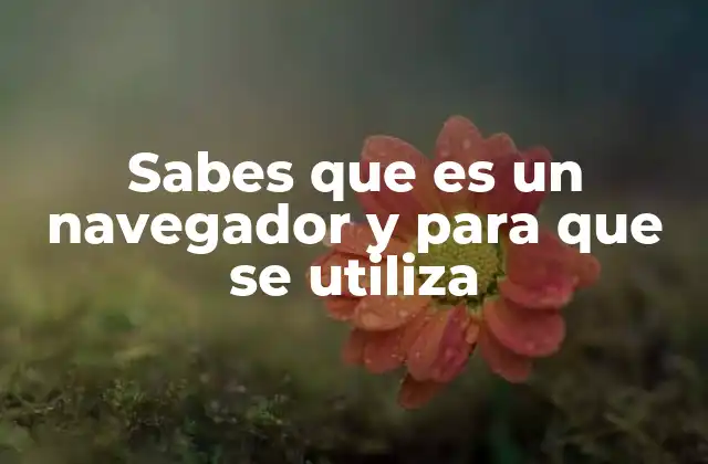 Sabes que es un Navegador y para que Se Utiliza