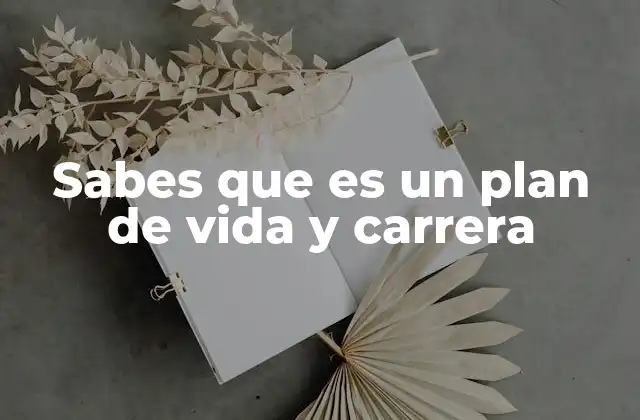 Sabes que es un Plan de Vida y Carrera