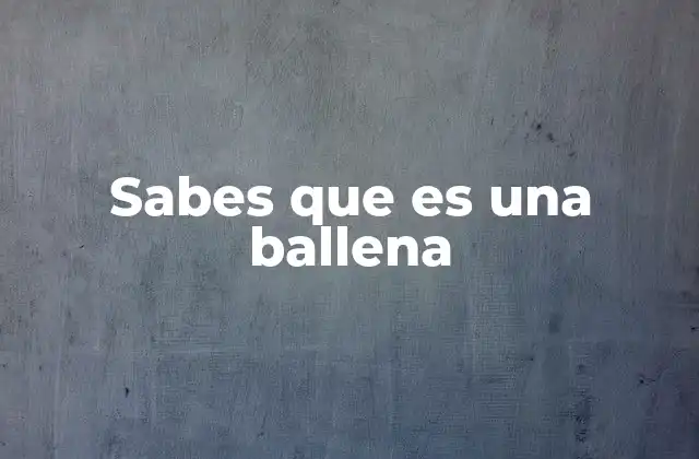 Sabes que es una Ballena