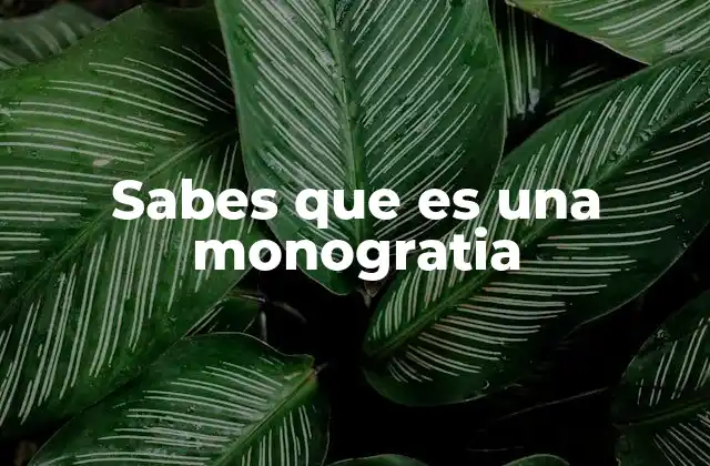 Sabes que es una Monogratia