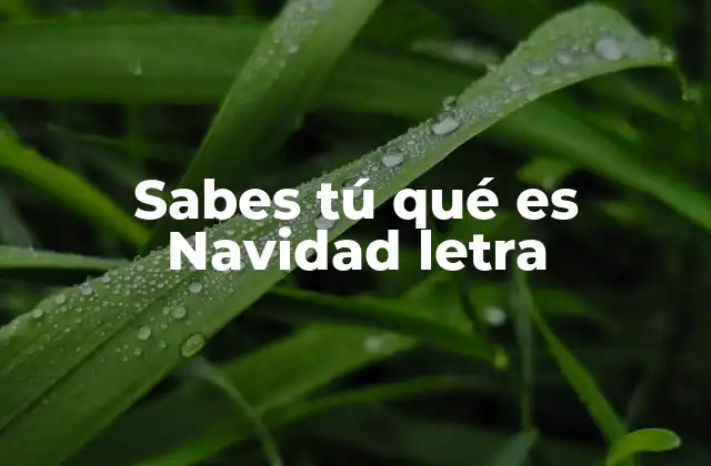 El mensaje detrás de la letra de Sabes tú qué es Navidad