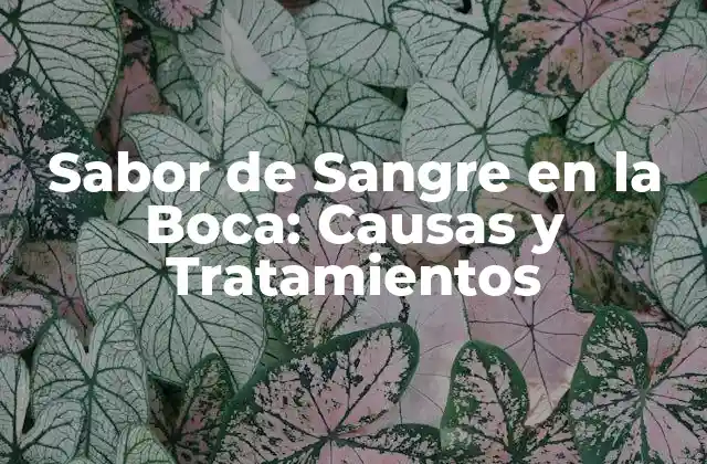¿Qué Causa el Sabor de Sangre en la Boca?