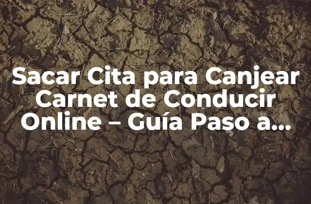 Sacar Cita para Canjear Carnet de Conducir Online – Guía Paso a Paso