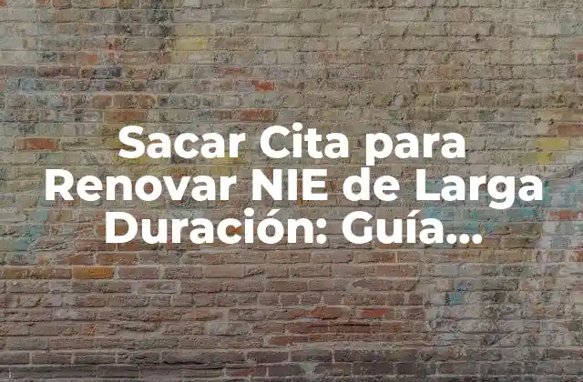 ¿Por qué es Importante Renovar tu NIE de Larga Duración?