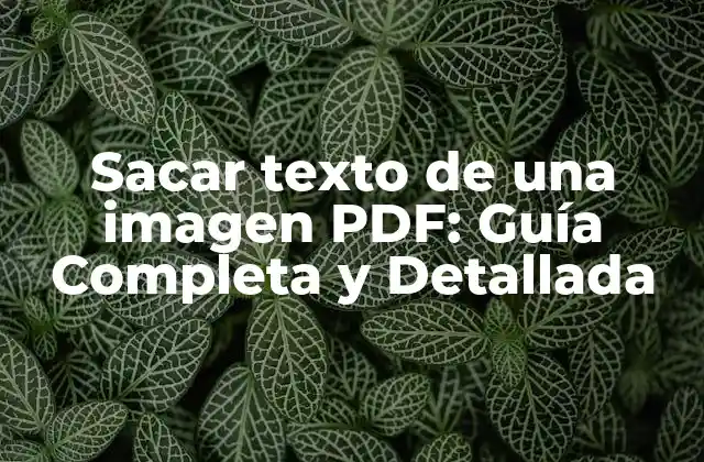 Sacar Texto de una Imagen Pdf: Guía Completa y Detallada