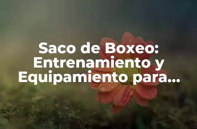 ¿Qué es un Saco de Boxeo y Cómo Funciona?