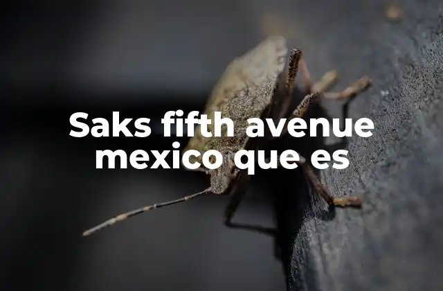 Saks Fifth Avenue Mexico que es