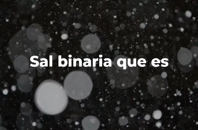 Sal Binaria que es 2 La importancia de la sal en la seguridad informática