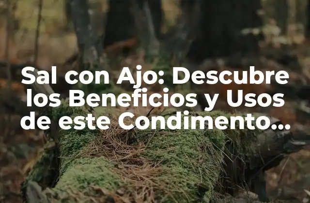 Sal con Ajo: Descubre los Beneficios y Usos de Este Condimento Natural