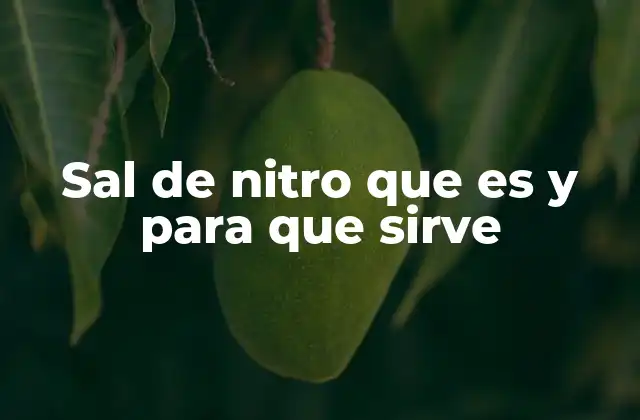 Sal de Nitro que es y para que Sirve