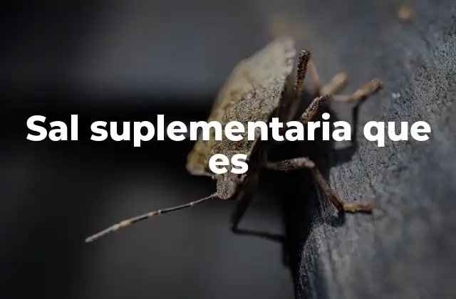 Sal Suplementaria que es