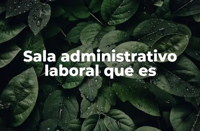 Sala Administrativo Laboral que es