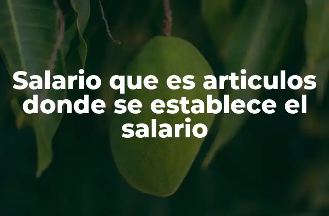 Salario que es Articulos Donde Se Establece el Salario