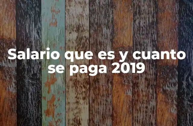 Salario que es y Cuanto Se Paga 2019