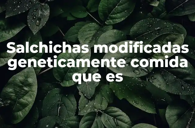 Salchichas Modificadas Geneticamente Comida que es