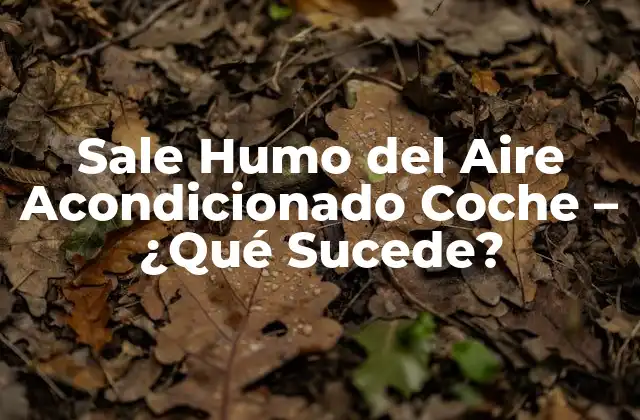 Sale Humo Del Aire Acondicionado Coche – ¿qué Sucede?