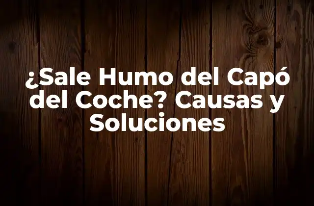 ¿sale Humo Del Capó Del Coche? Causas y Soluciones