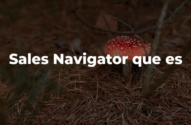 Sales Navigator que es