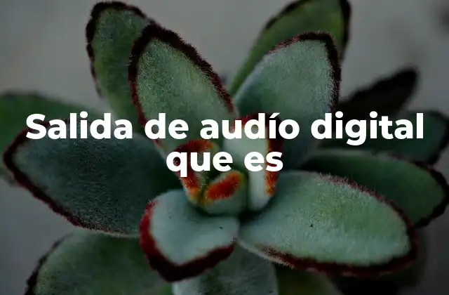 Salida de Audío Digital que es 2 Cómo funciona la transmisión de audio digital