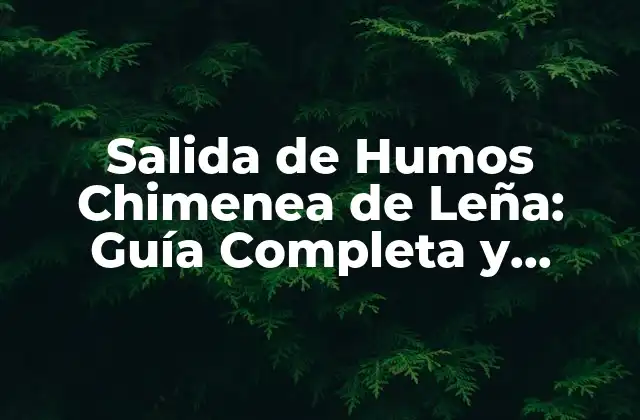 Salida de Humos Chimenea de Leña: Guía Completa y Detallada