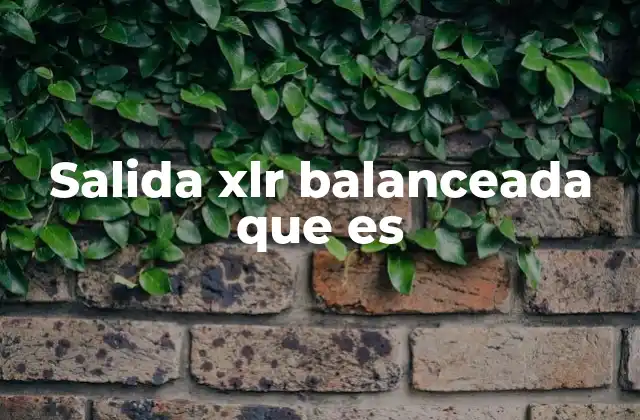 Salida Xlr Balanceada que es