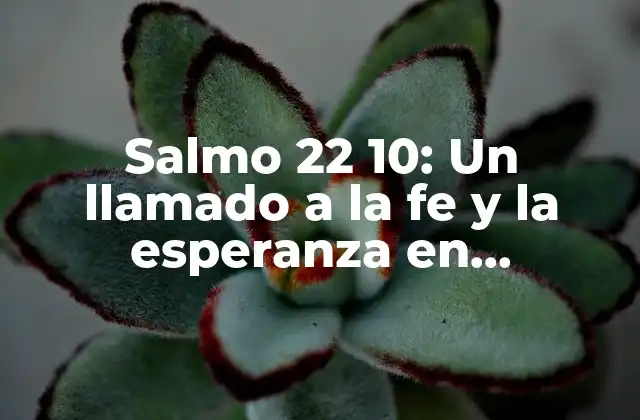 Salmo 22 10: un Llamado a la Fe y la Esperanza en Momentos de Necesidad