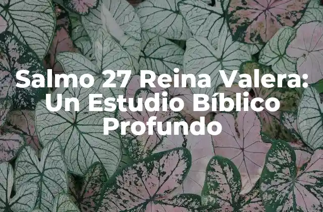 Salmo 27 Reina Valera: un Estudio Bíblico Profundo