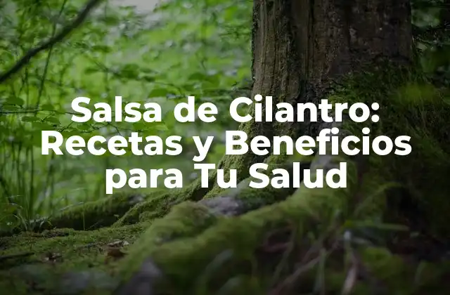Salsa de Cilantro: Recetas y Beneficios para Tu Salud
