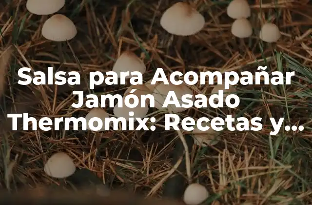 Salsa para Acompañar Jamón Asado Thermomix: Recetas y Consejos