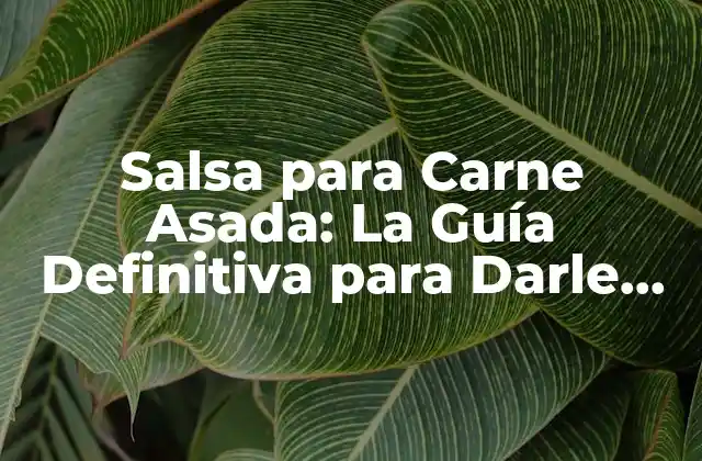 Salsa para Carne Asada: la Guía Definitiva para Darle Sabor a Tu Comida
