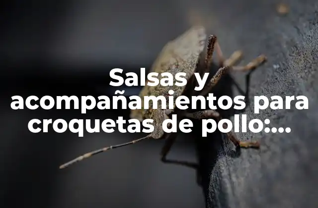 Salsas y Acompañamientos para Croquetas de Pollo: Descubre las Mejores Opciones