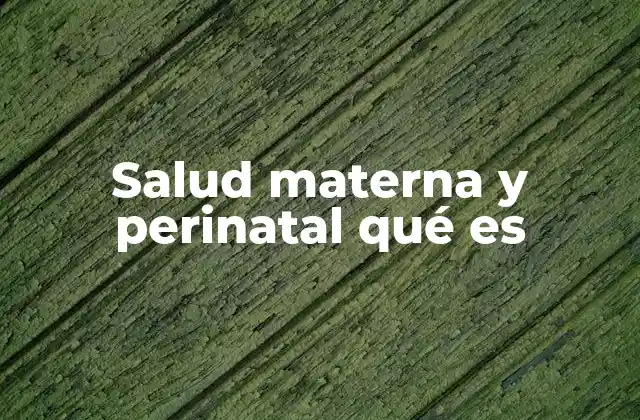 Salud Materna y Perinatal Qué es