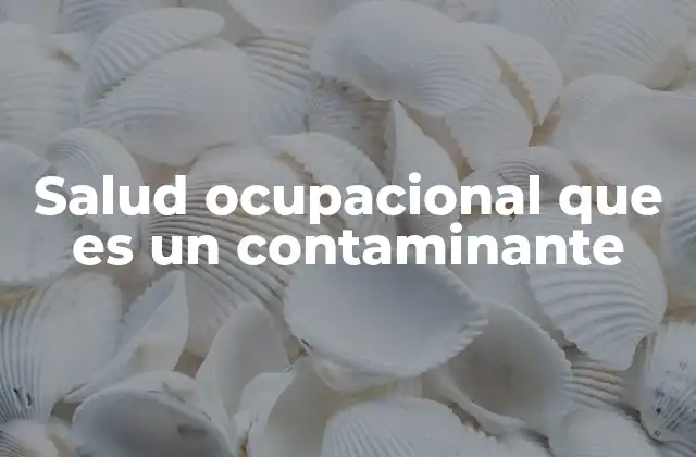 Salud Ocupacional que es un Contaminante
