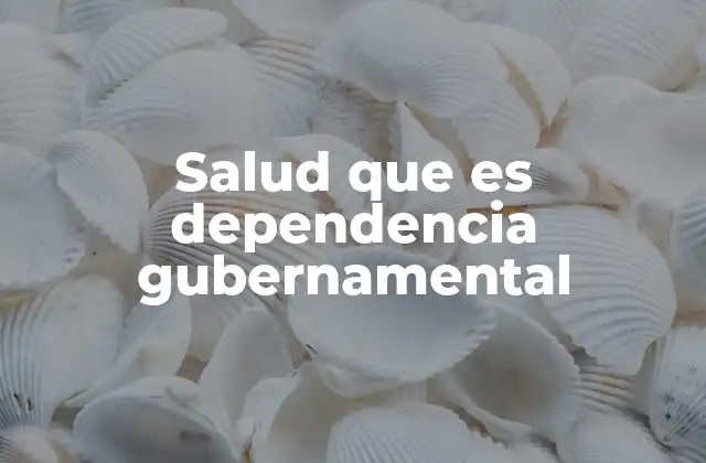 Salud que es Dependencia Gubernamental