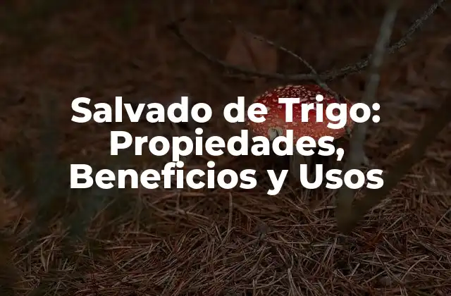 Salvado de Trigo: Propiedades, Beneficios y Usos 2 Composición Nutricional del Salvado de Trigo