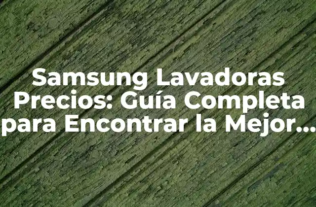Samsung Lavadoras Precios: Guía Completa para Encontrar la Mejor Opción