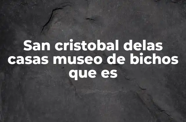 San Cristobal Delas Casas Museo de Bichos que es