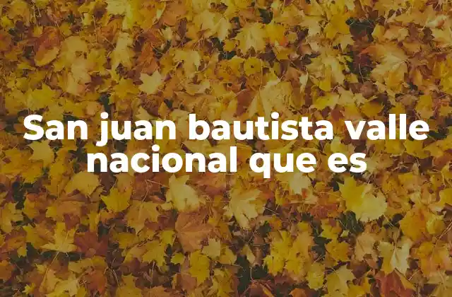 San Juan Bautista Valle Nacional que es