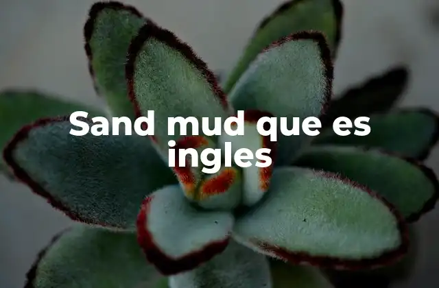 Sand Mud que es Ingles