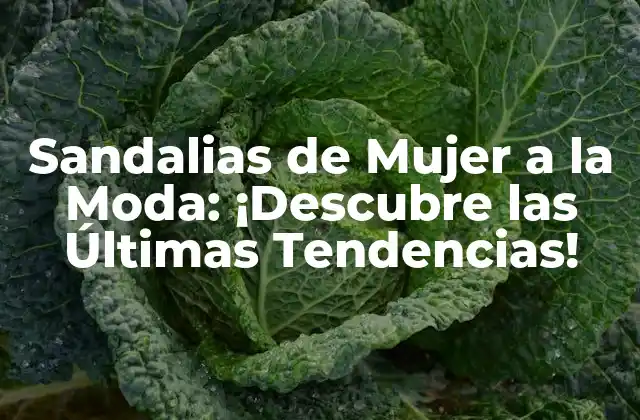 Sandalias de Mujer a la Moda: ¡descubre las Últimas Tendencias!