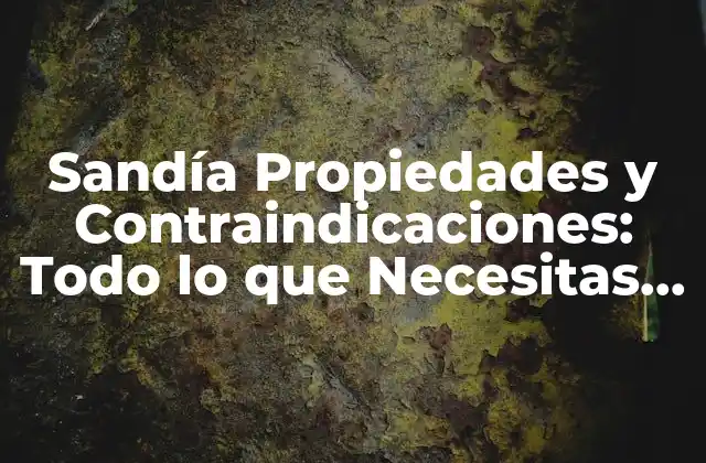 Sandía Propiedades y Contraindicaciones: Todo Lo que Necesitas Saber