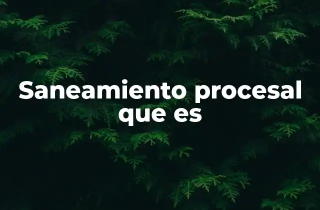 El papel del saneamiento procesal en la justicia moderna